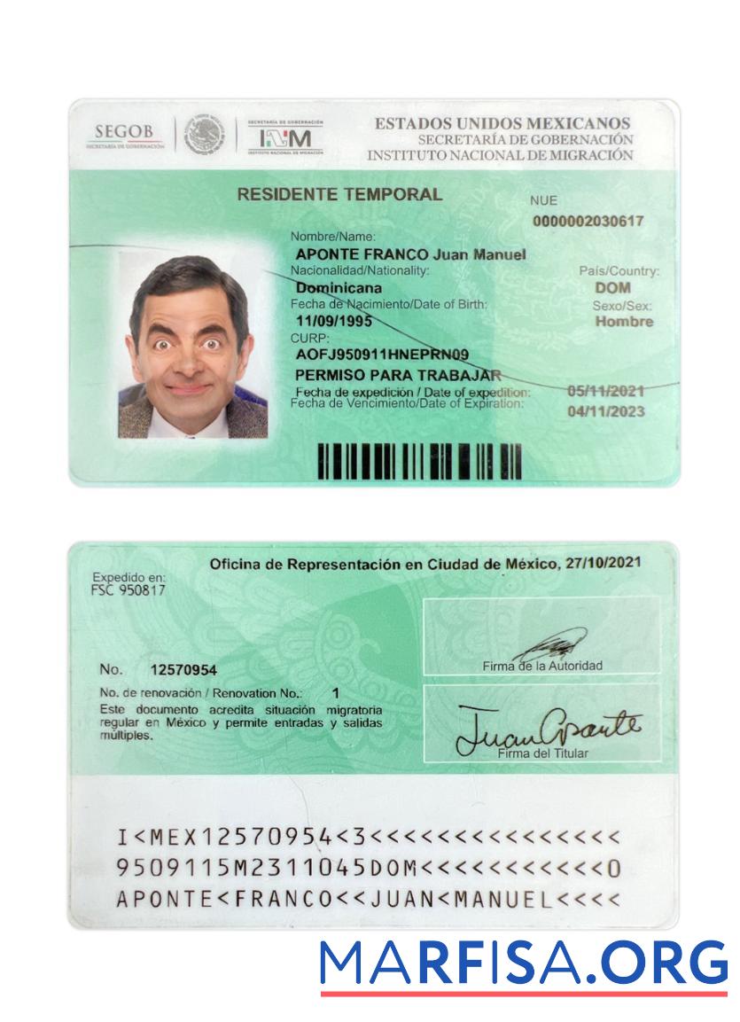 Realistic Mexico residence permit 2021 present download for verification